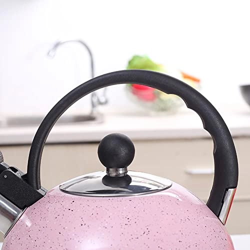 Stainless Steel Kettle - 2.5L