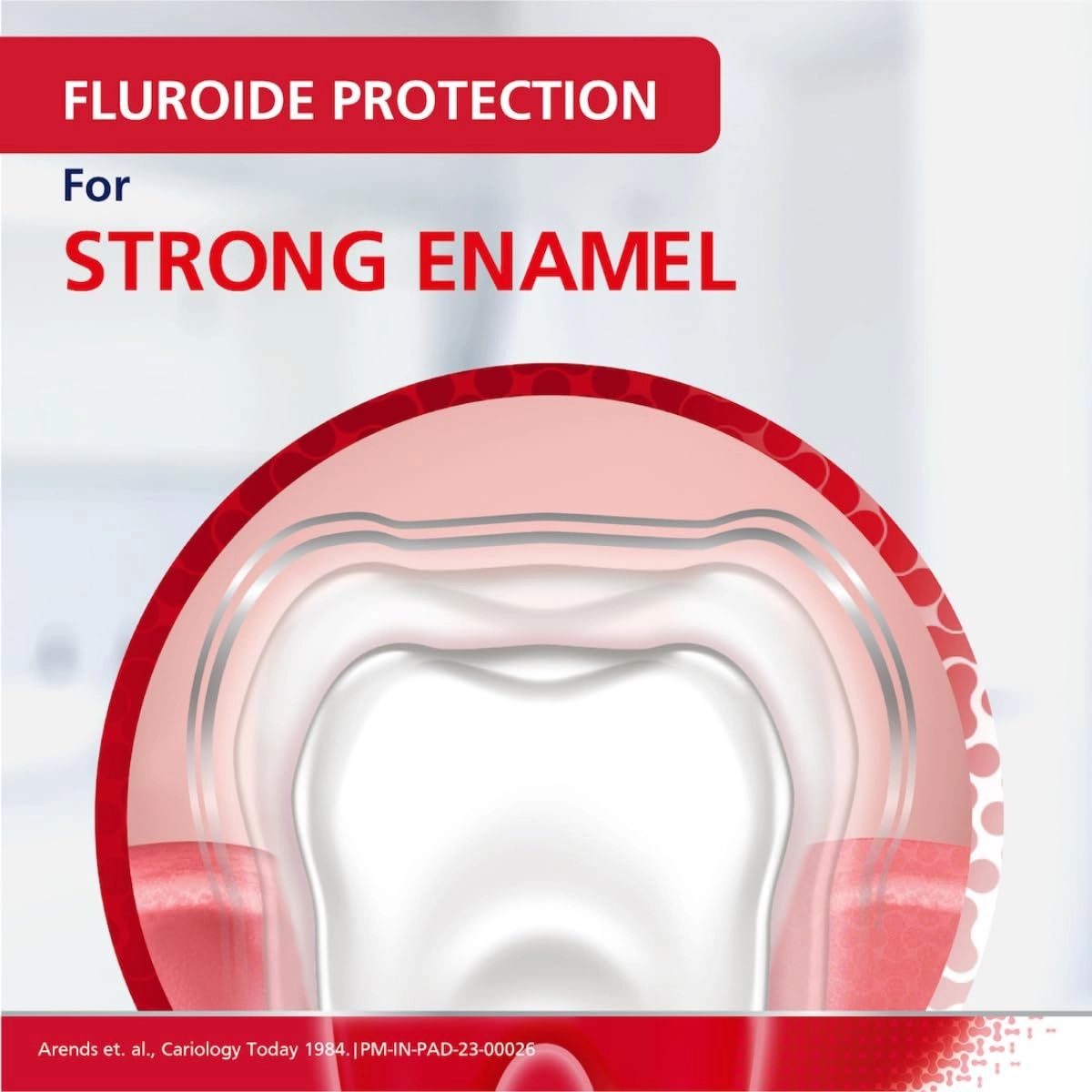 Expert Gum Care Fluoride Fresh Toothpaste Adult 75 g