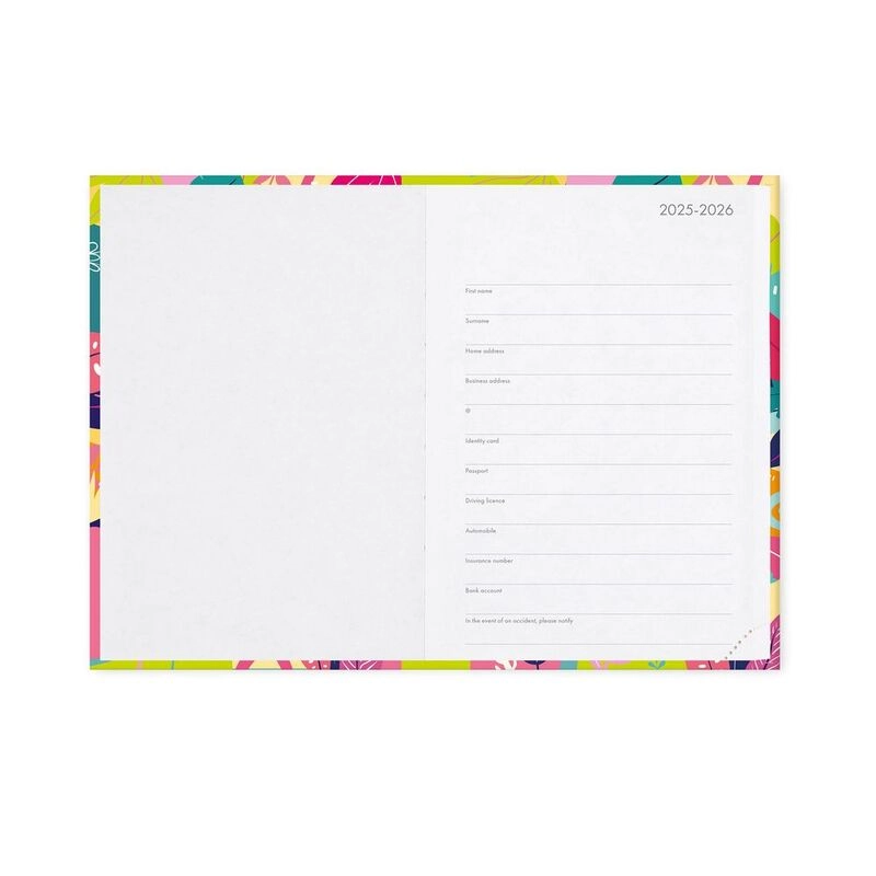 16-Month Daily Photo Diary - Medium