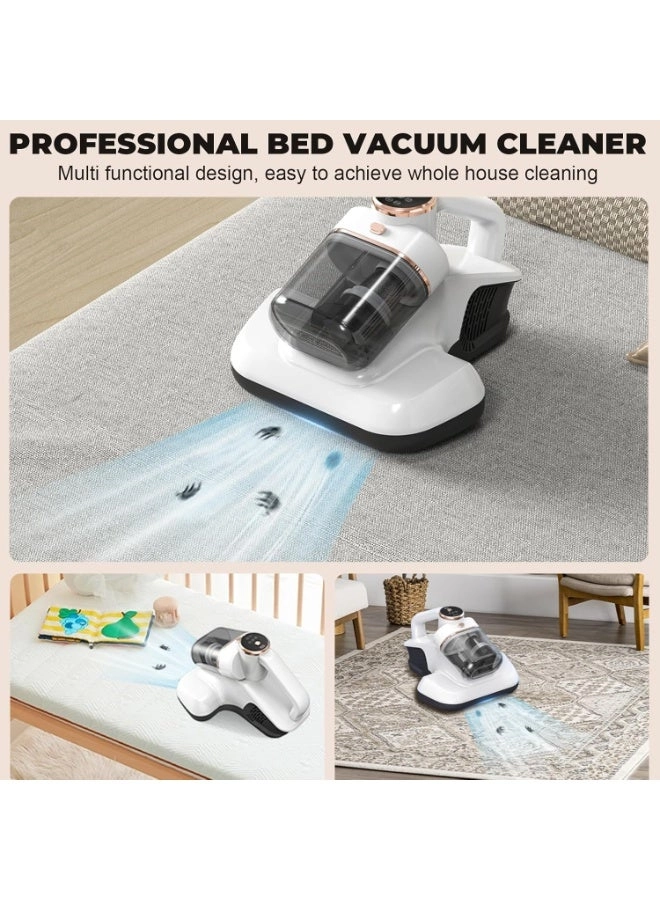 Dust Mite Vacuum (HB-802)