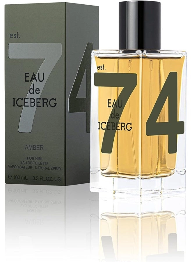 Amber Man Eau de Toilette 100 ml