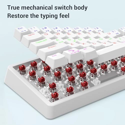 68 Key Wired Mechanical Keyboard