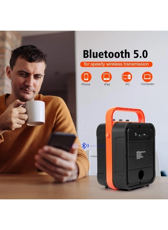 Karaoke machine - 2 wireless microphone