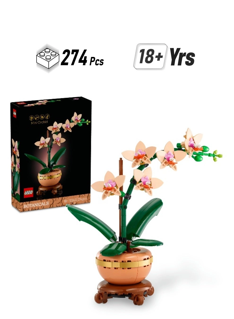 Botanicals Mini Orchid (10343) - Artificial Flowers Terracotta Pot
