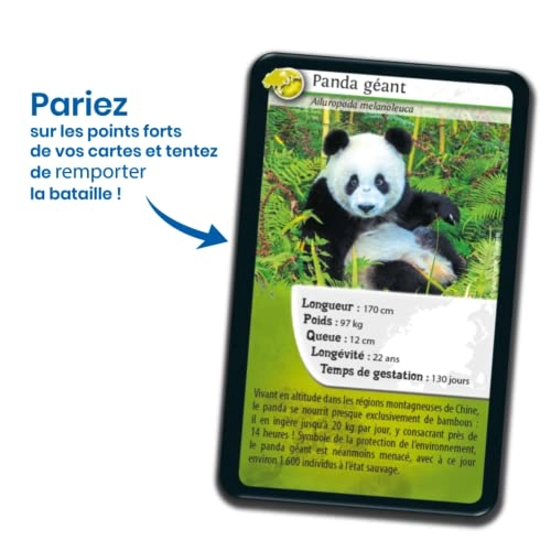 Nature Challenges Animal-Asia - Card Game