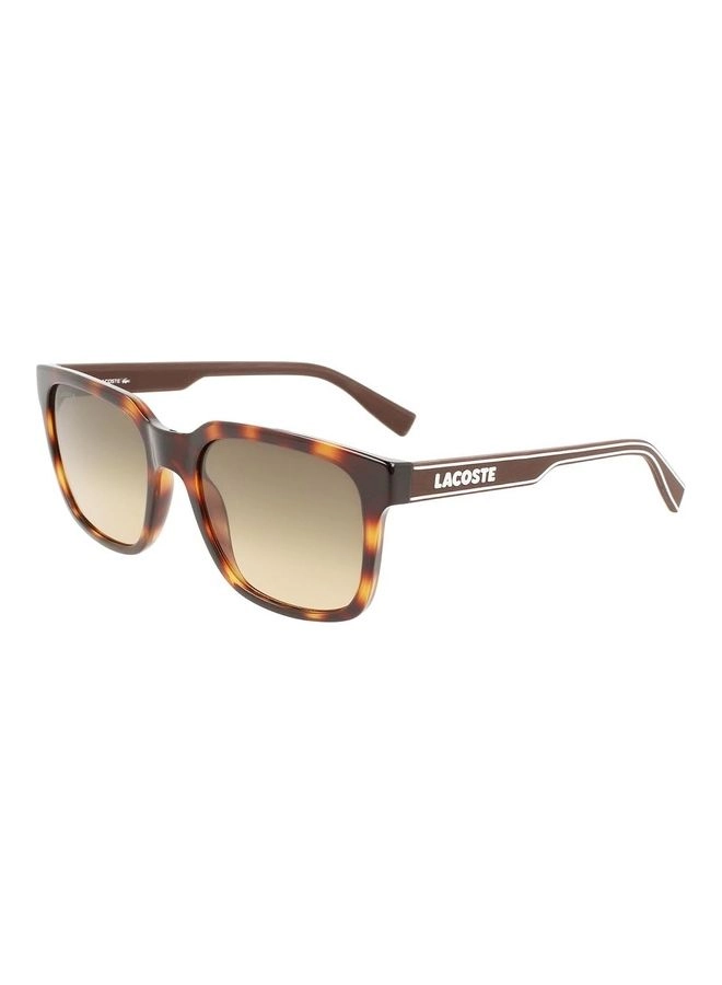 L967S - 55 mm Gradient Brown
