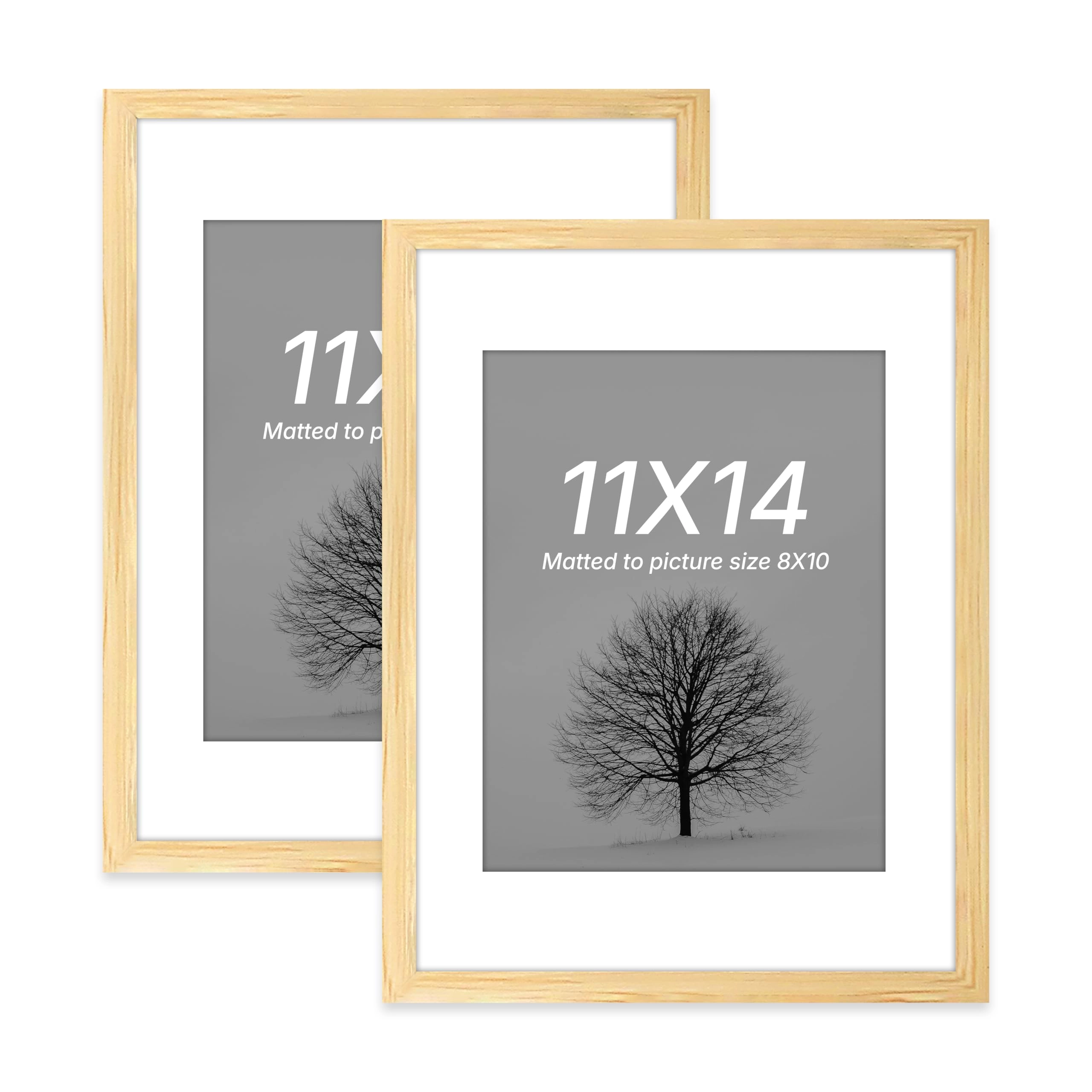 Document Frame - 11x14 Inch