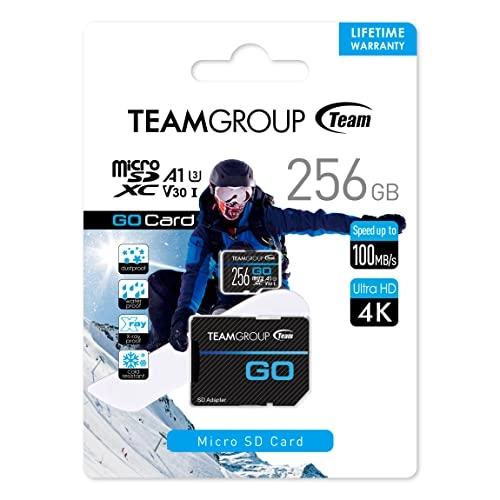 GO Card - 256GB