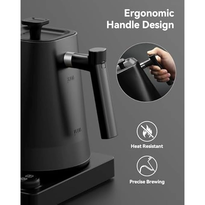 Temperature Control Electric Kettle