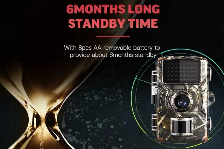 Trail Camera - 1080P Night Vision