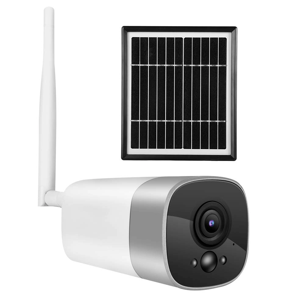 Bewinner QinqFvoASzjax4