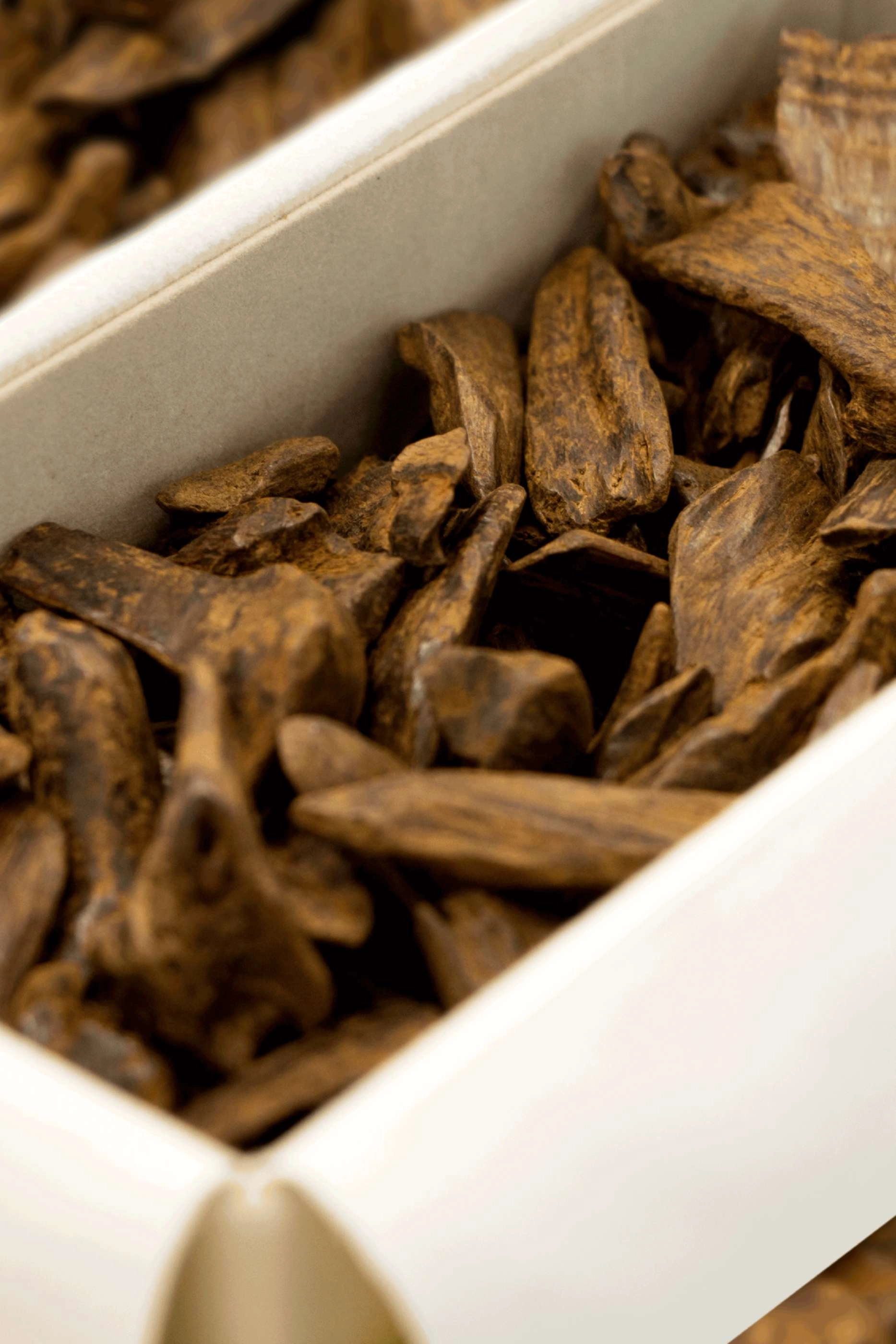 Marourqi Agarwood - Premium Gift Box Indonesia