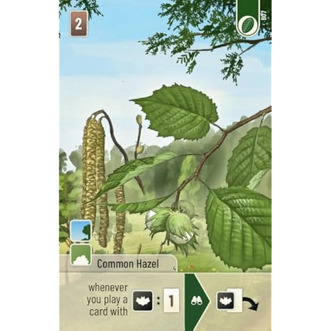 Forest Shuffle Woodland Edge - 10 years and up