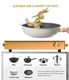 Induction Cooker
