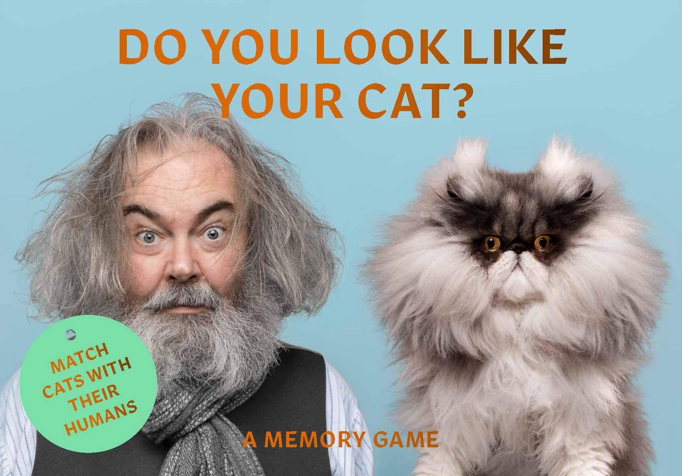 Laurence King Do You Look Like Your Cat?: A Matching Memory Game