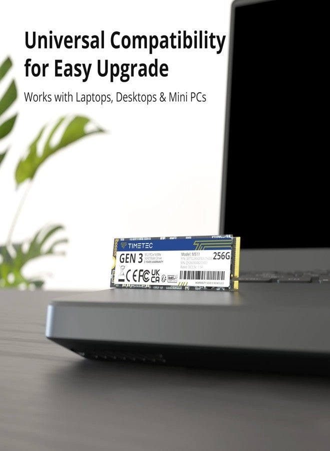 NVMe PCIe Gen3x4 - 256GB M.2 2280