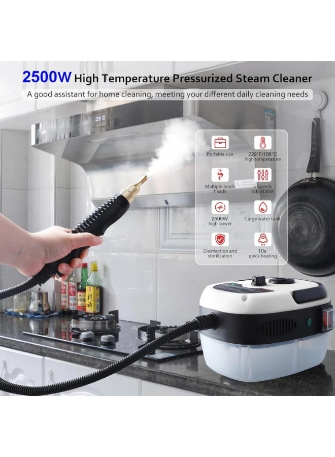 High Temperature Steam Cleaner - 1000W Handheld