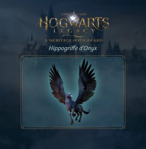 Hogwarts Legacy Collector's Edition - Xbox One