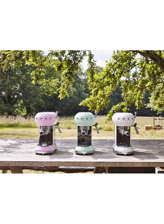 50's Retro & Milk ECF01