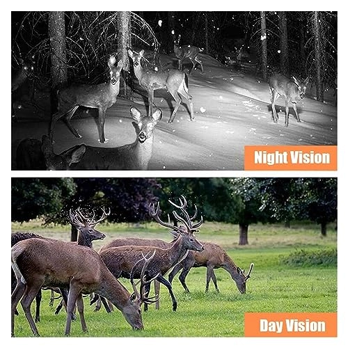 Wildlife Camera - 20MP