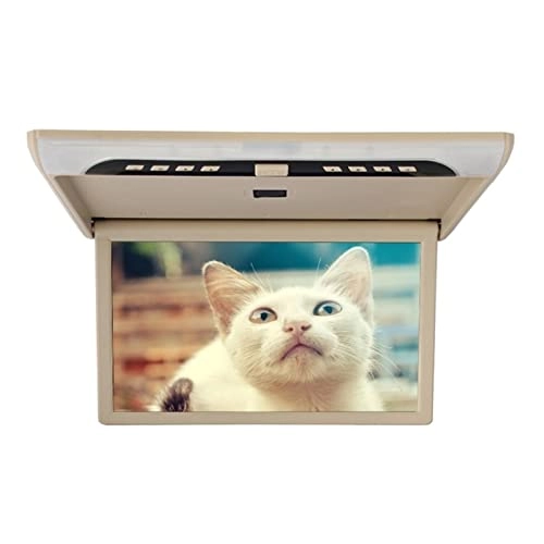 Car Ceiling Display - 19 Inch