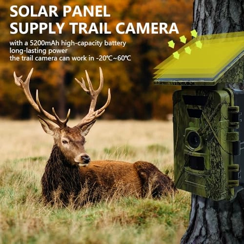 Trail Camera - 64MP