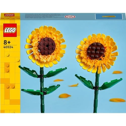 Sunflowers (40524)