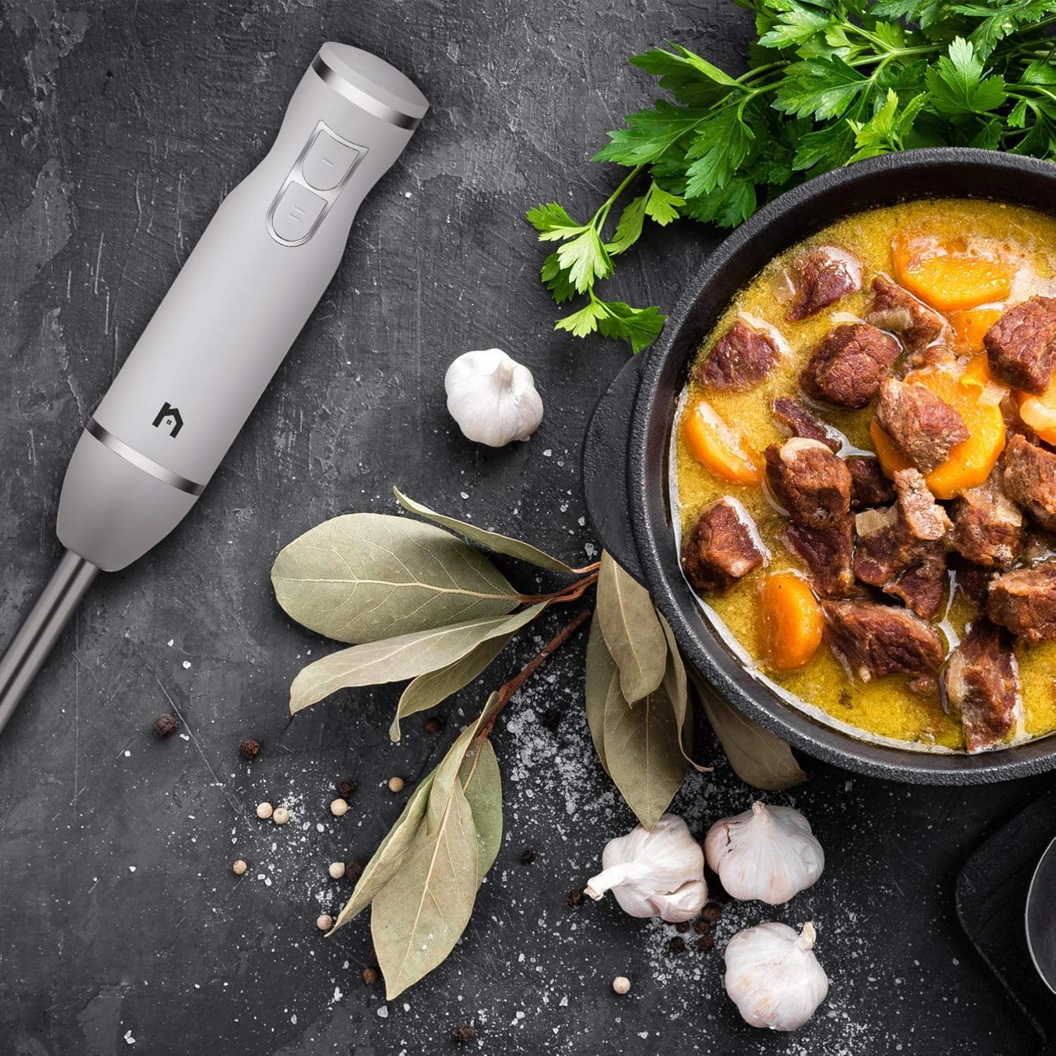 Immersion Hand Blender - 2 Speed Stainless Steel Shaft