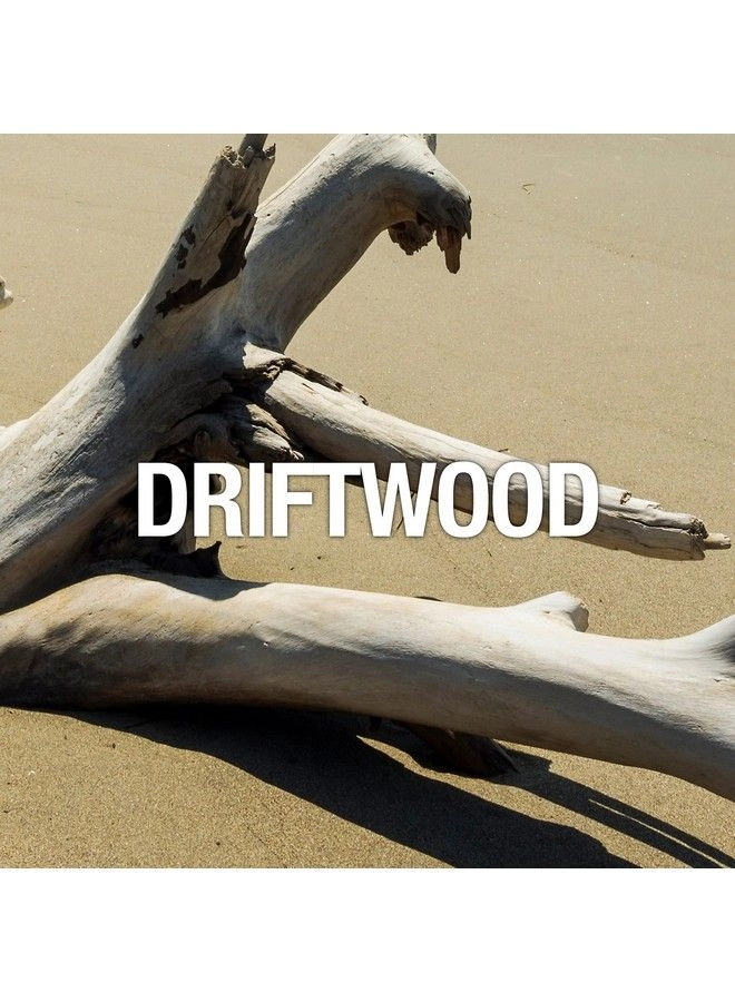 Women Eau de Toilette