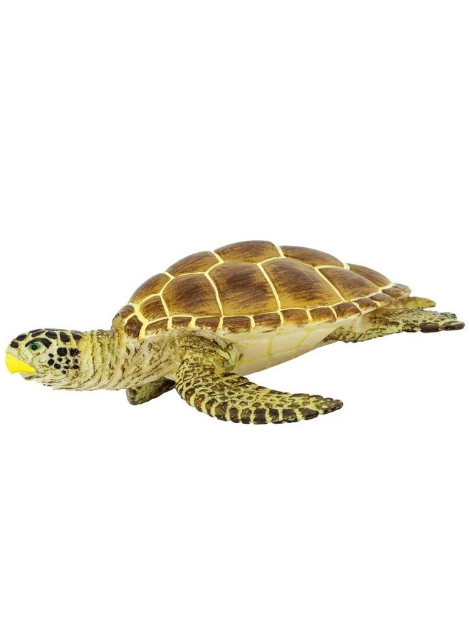 Safari Ltd Loggerhead Turtle