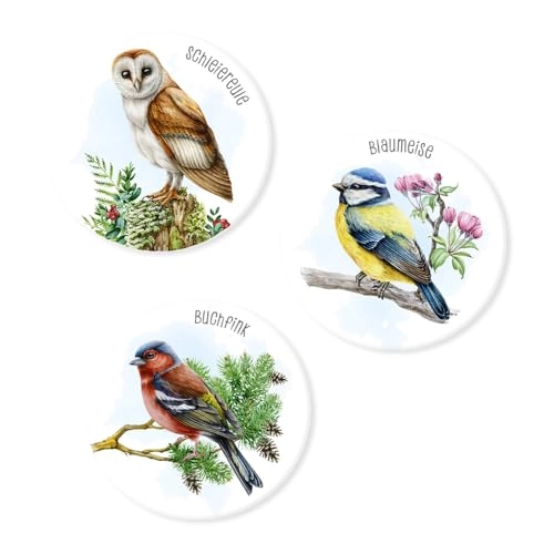 Our Bird World Memo - 36 months - 6 years