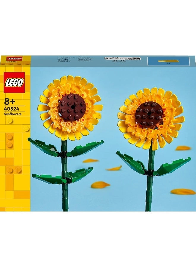 Sunflowers (40524)