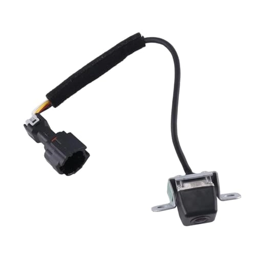 Rear View Camera - Night vision