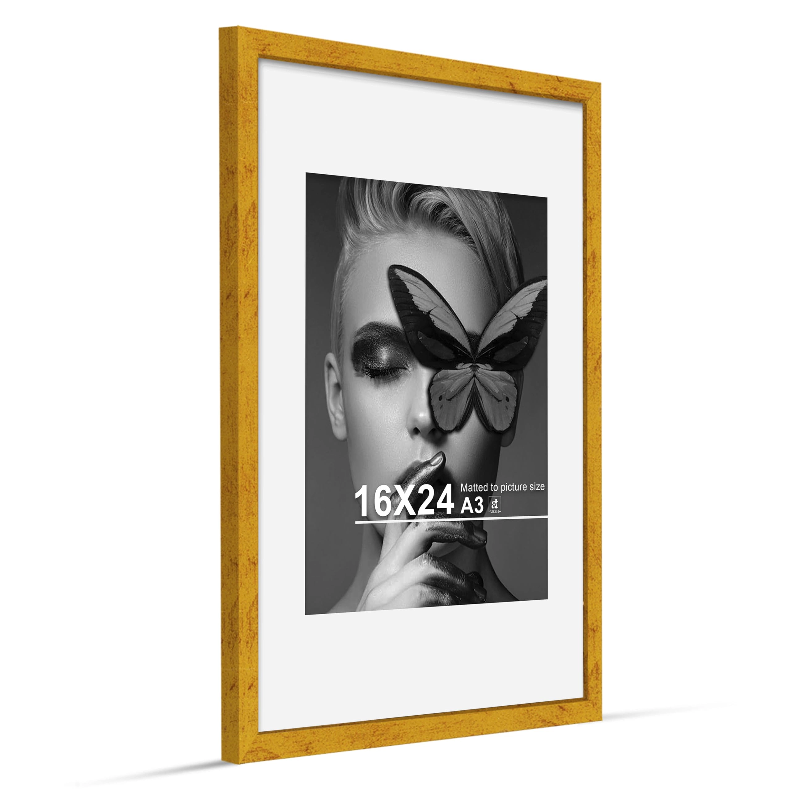 Document Frame - 16x24 Inch