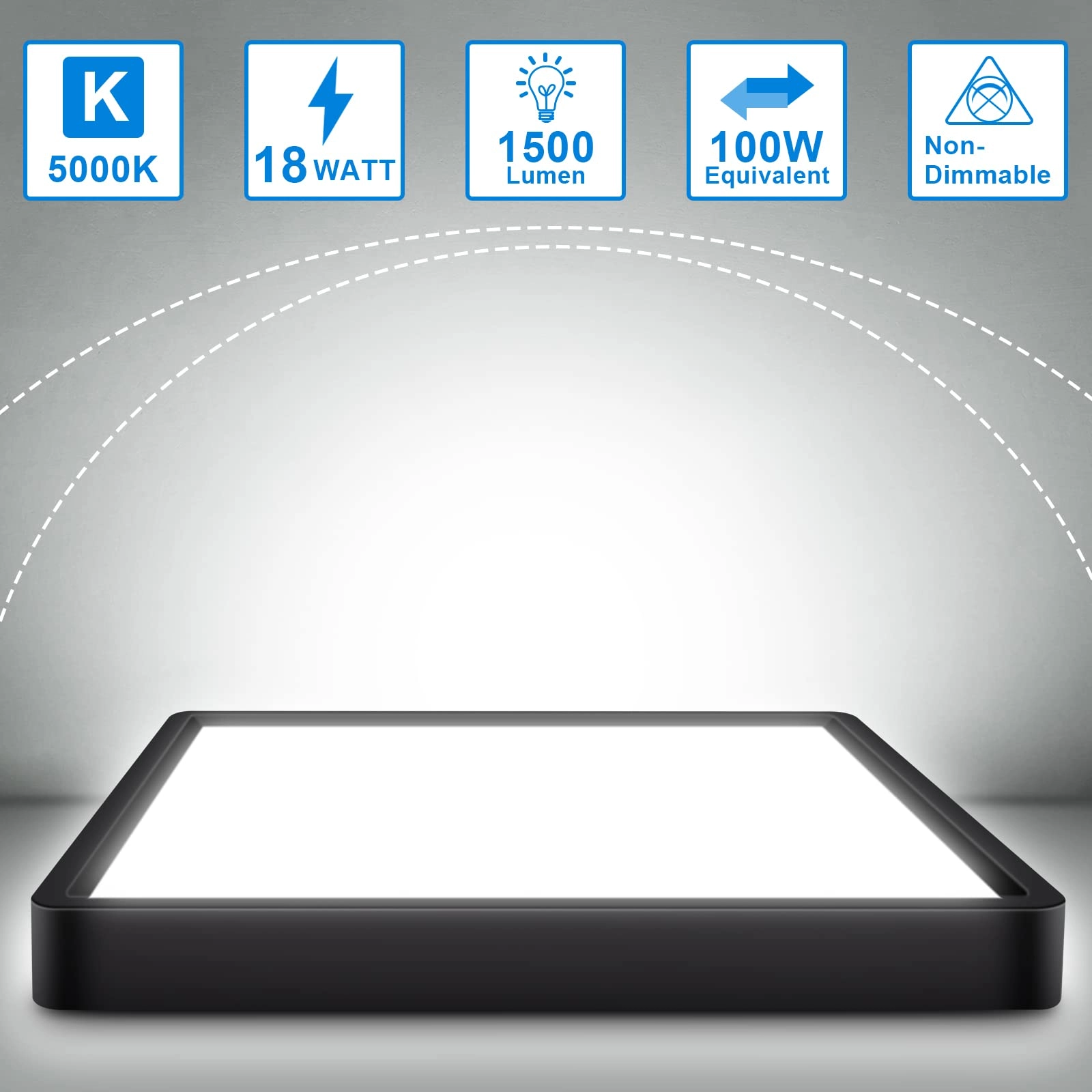 LED Ceiling Light - 5000K Daylight White