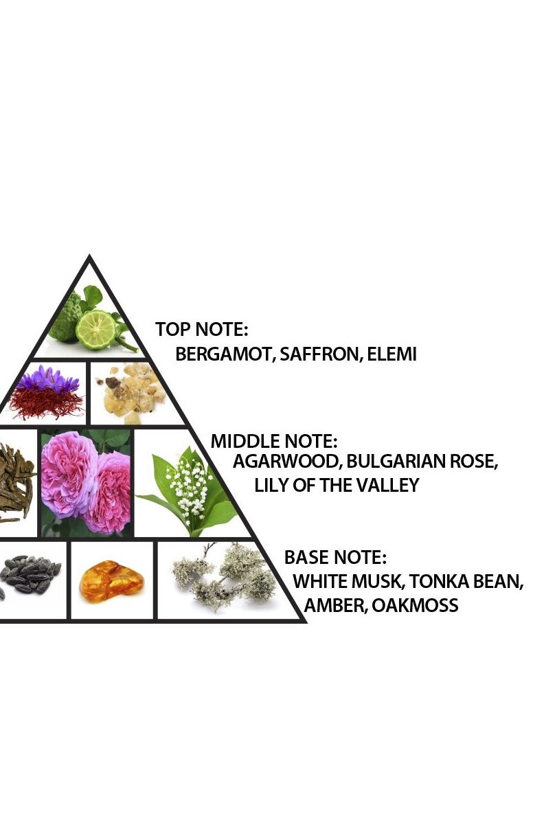 AMBER OUD DUBAI NIGHT Eau de Parfum - 100 ml