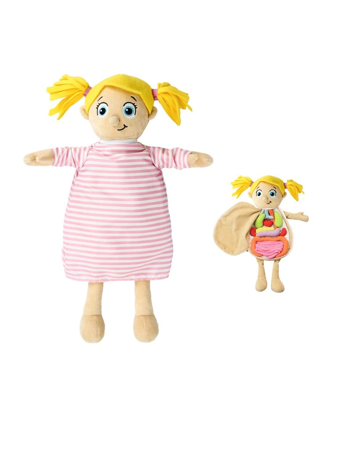 Excefore Human Body Anatomy Toy - 1 piece(s)