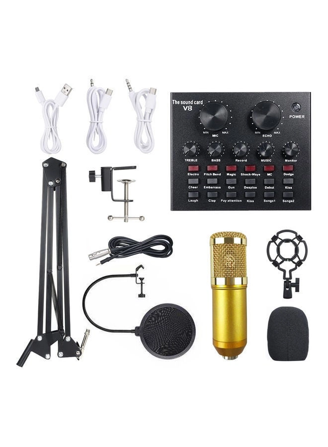 Loquat Live Sound Card + BM800 Wireless Microphone
