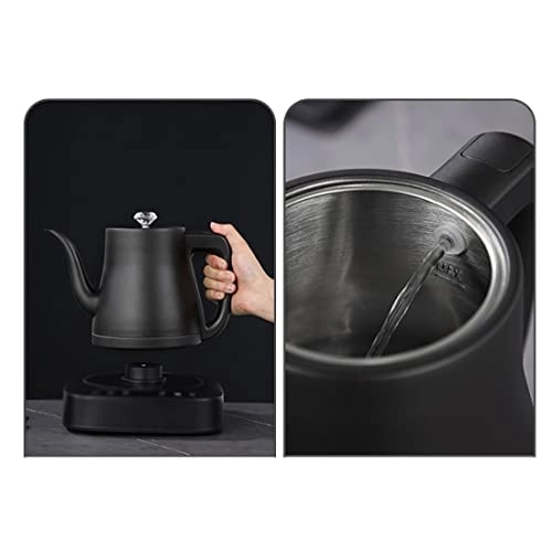 Temperature Control Electric Kettle