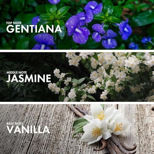 Blossom Vanilla Eau de Parfum 50 ml