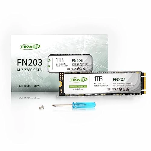 FN203 - 1 TB M 2