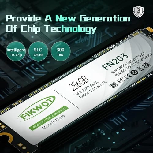 FN203 - 256GB M.2 2280