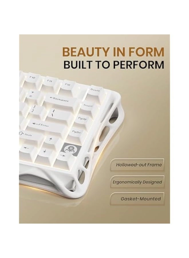 Mercury K1 Lite - Wired/Wireless