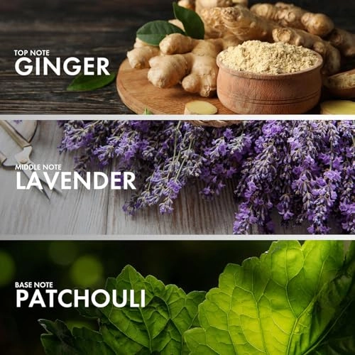 BERGAMOT VETIVER Eau de Parfum 50ml