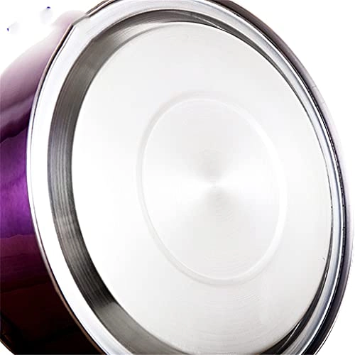 Whistle Kettle WJL-23-12230261