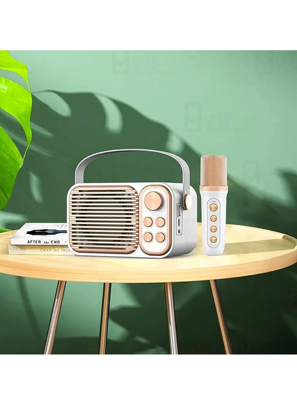 Wireless Karaoke speaker