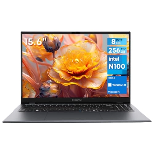 GemiBook Plus - 15.6'' N100 8GB DDR5 256GB SSD