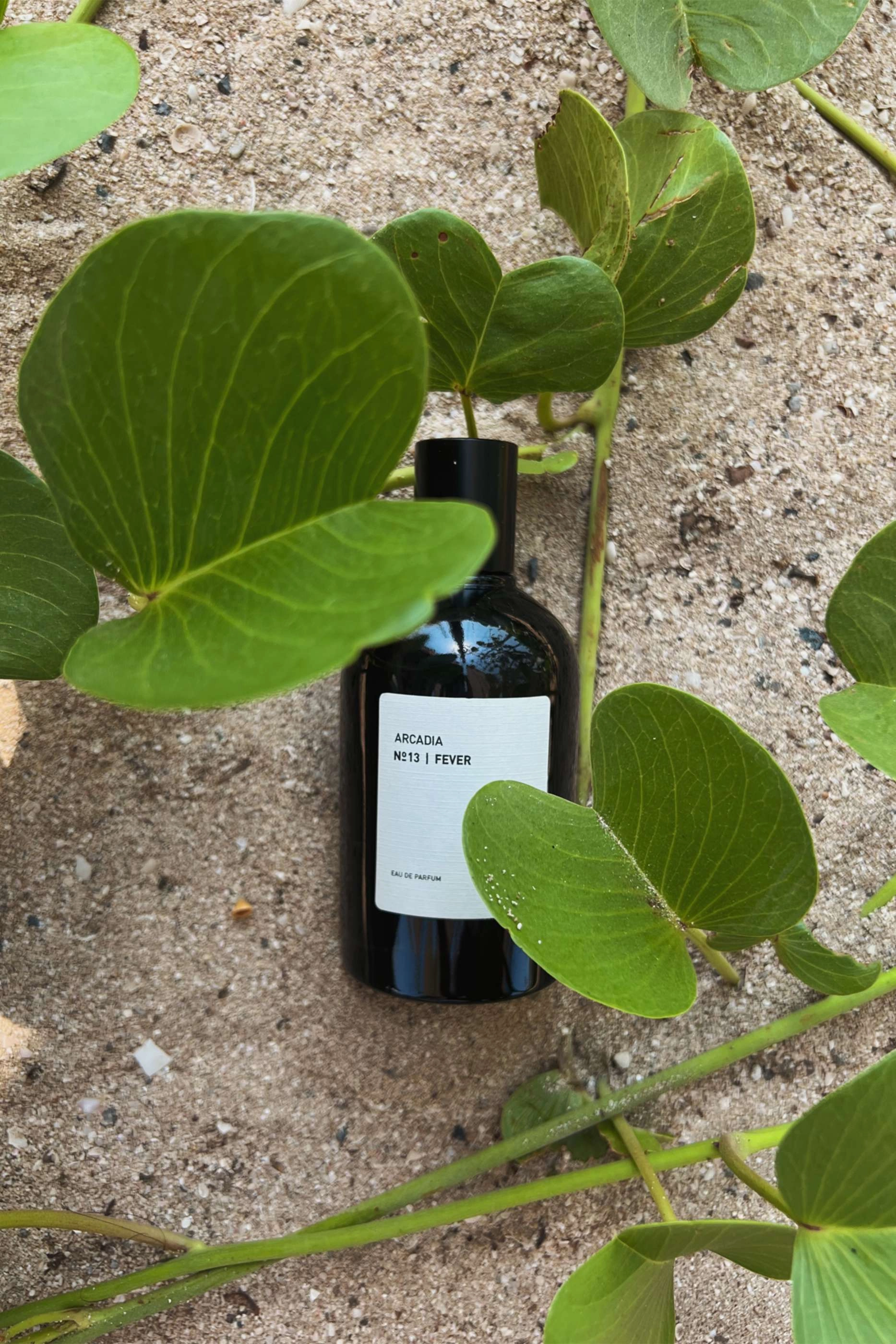 No. 13 Fever Eau de Parfum 100ml