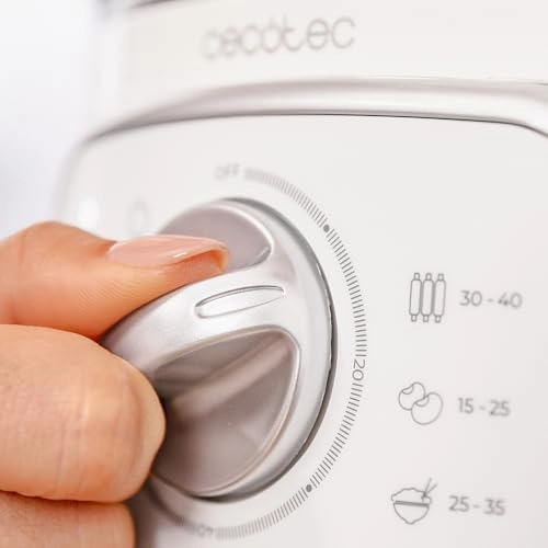 Electric Steamer - 10L