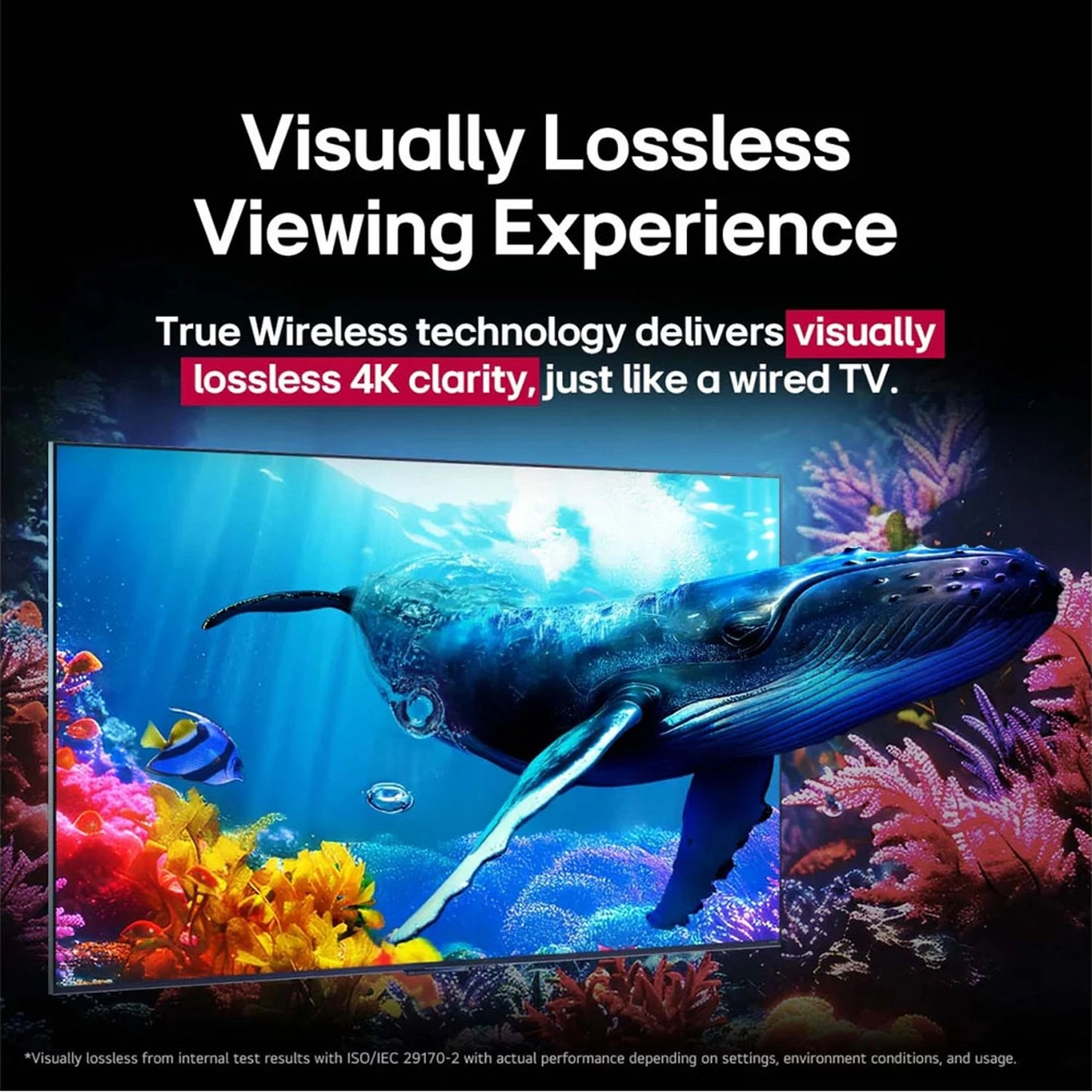 65QNED9MA6A-AMAG - 65 in